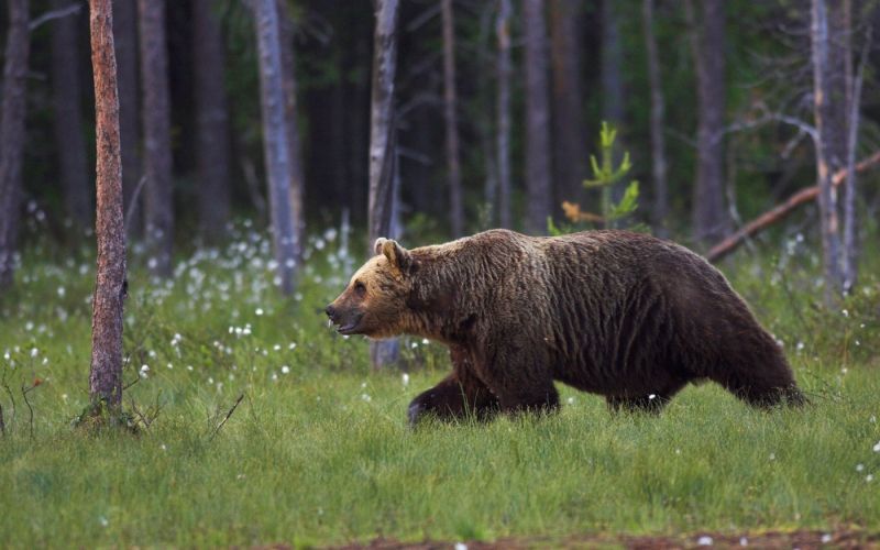 909f75ffdaa05dde60176739e82341bb